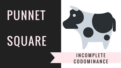 Image result for Incomplete Dominance Examples Dog