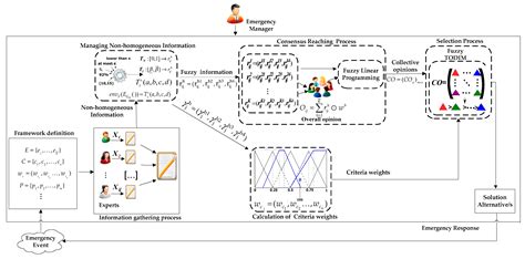 Managing Non-Homogeneous Information and Experts’ Psychological ...
