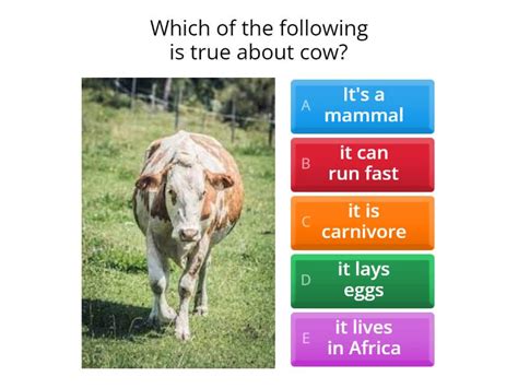 Image result for Answer the Following Questions