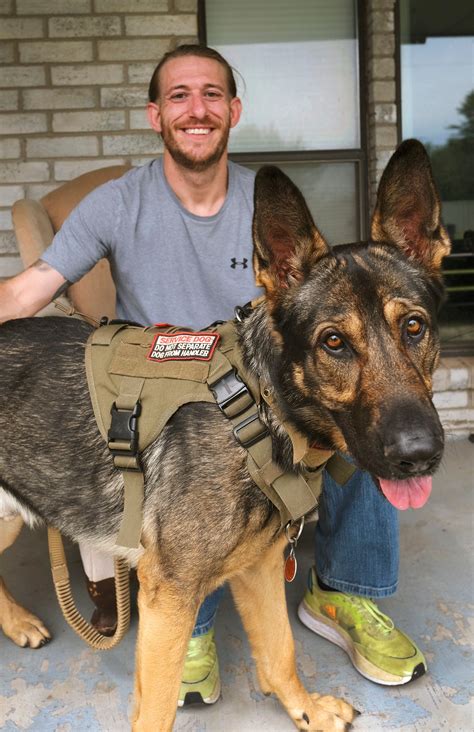 Service Dog
