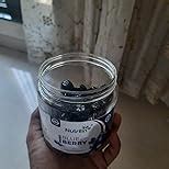 Nutrilin Dried Blueberry Plum - Jar Pack - Sweet & Delicious ...