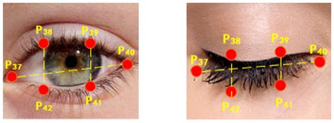 Driver Emotion and Fatigue State Detection Based on Time Series Fusion