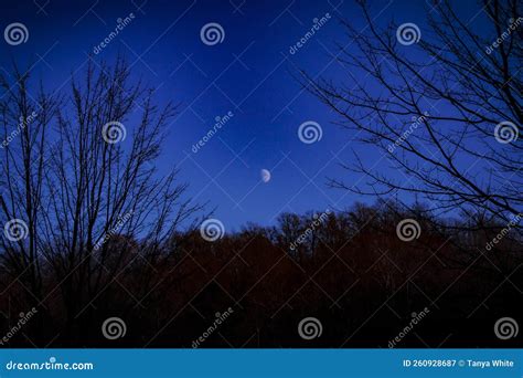 Image result for Beautiful Fall Moon
