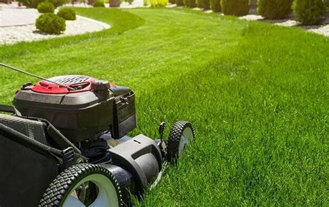 Image result for Sample or Example
