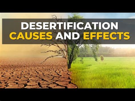 Soil Erosion and Desertification Video Lecture - Geography for GCSE ...