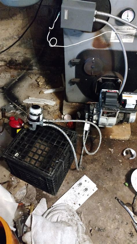 Image result for Tiger Loop Problems