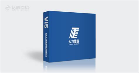 桂林天力能源VI设计-桂林专业做网站_网站建设_app_小程序_网站定制
