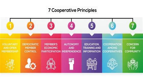 Co-operative Principles 的图像结果