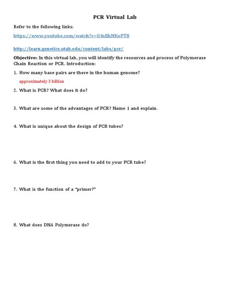 PCR Virtual Lab 的图像结果