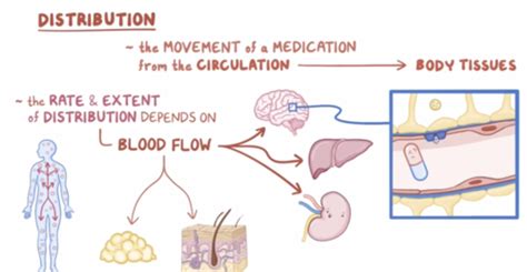 Tissue Distribution 的图像结果