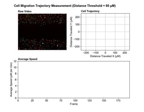 Image result for Cell Image Object Detection Python Code
