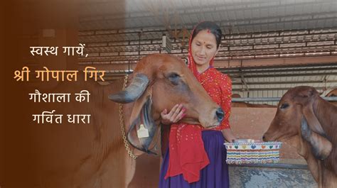 Shree Gopal Gir Gaushala - India's Premier Gaushala | Award-Winning ...