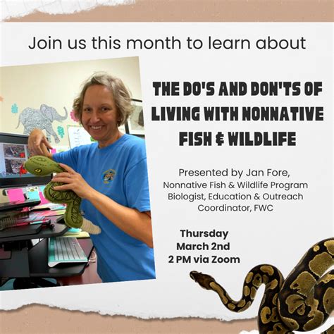 South Florida Wildlife Center – Saving Wildlife in Our Urban Jungle