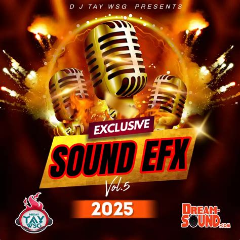 DJ Tay Wsg - Sound EFX Vol. 5 (Sound Effect 2025) - Dream Sound Media