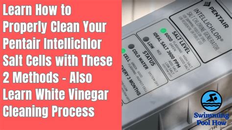 Clean IntelliChlor Cell 的图像结果