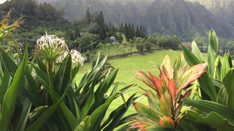 The valley of 'natural and revealed religion' in Hawaii's Valley of the Temples - religion in hawaii