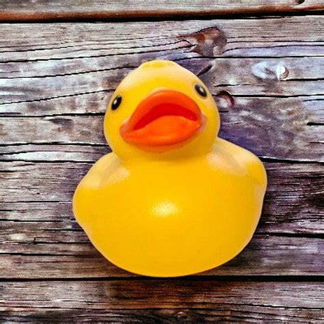 Singing Yellow Rubber Ducky Cruise Ducks Ducky Kids Toys Bath Toys ...