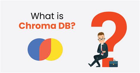 Image result for Security Using Chromadb