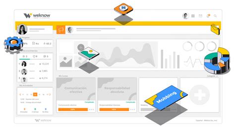 Online LMS 的图像结果