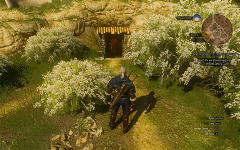 The Witcher 3: A Complete Guide To Blood and Wine's Wine Wars Questline