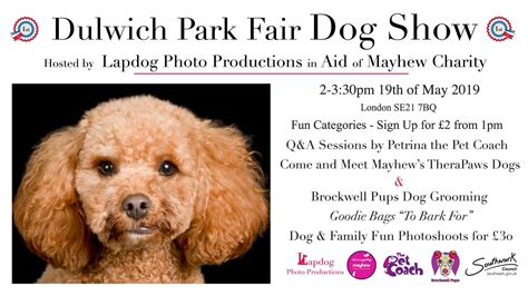Dulwich Park Fair Dog Show | The Dogvine