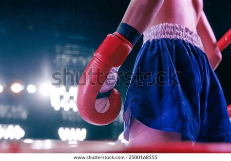 Boxing Stock Images 的图像结果