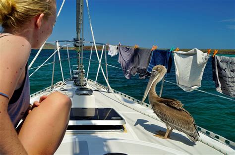 Image result for Hand Power Washing Machine Sailing