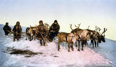 Современные кочевые народы: где живут, как называются?
