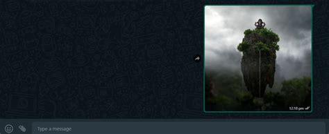 Image result for WhatsApp Bot Python