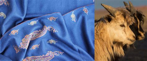 Blogs – The India Craft Project (TICP)