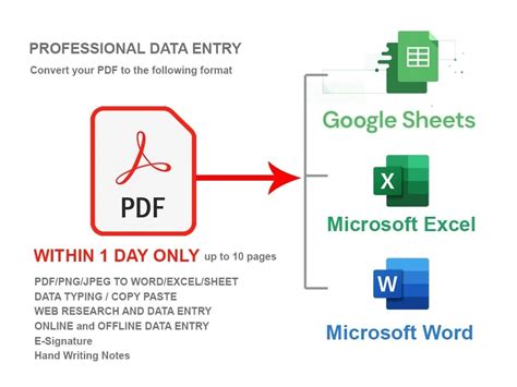 Data Entry File.pdf Change into Word 的图像结果