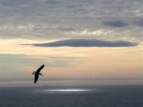 Earthquake of magnitude 6.1 rattles off East Coast of Kamchatka
