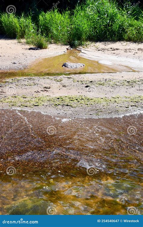 Vertical Shot of Siltation of the River Bottom on the Sandy Beach with ...