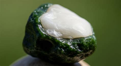 Ecosystem Function Degradation → Term