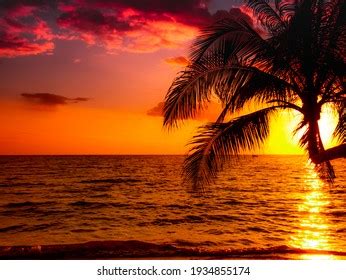 Image result for Sunset Climb O2