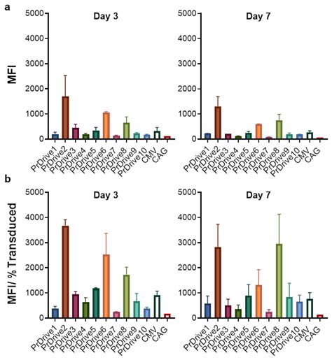 Integrase Defective Lentiviral Vector Promoter Impacts Transgene ...