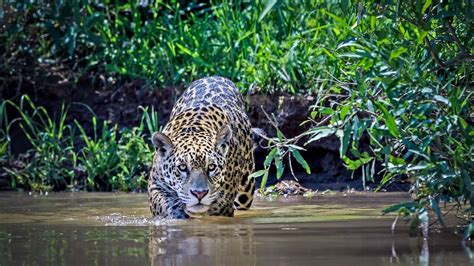 Image result for CSS Interface