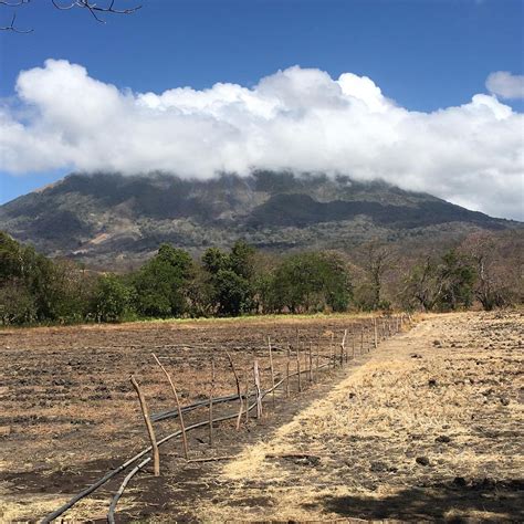 LOS RAMOS (2025) All You Need to Know BEFORE You Go (with Photos ...