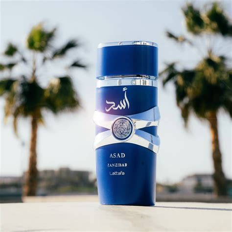 Lattafa Asad Zanzibar Eau de Parfum for Men – Perfume Network India