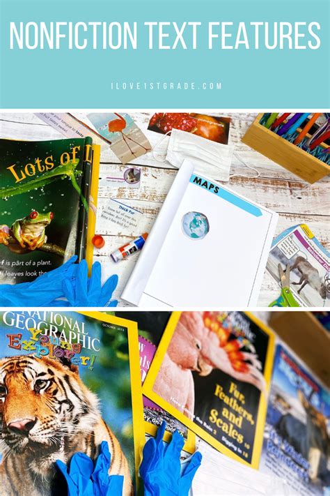 Teaching Text Features 的图像结果