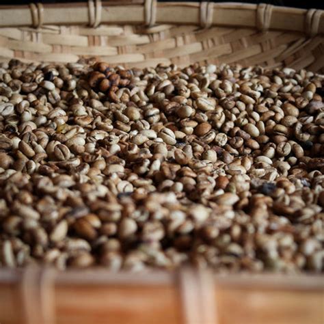 Natural Dry Coffee Processing Method PDF 的图像结果