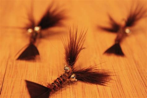 Image result for Simple Crayfish Pattern