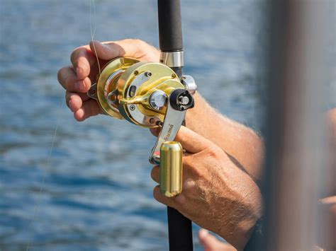 Augsburg Nord Official Website