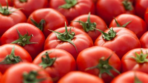 Viral: Van carrying 2,000 kg of tomatoes was hijacked by the miscreants ...