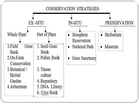 Ex situ conservation | PPTX