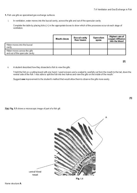 7.3 Final Exam Questions on Ventilation & Gas Exchange (Fish Gills) - Studocu