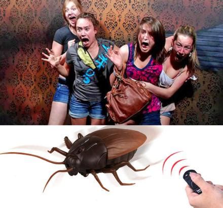 Remote Controlled Cockroach 的图像结果