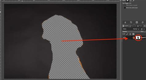 GIMP Transparent Mask 的图像结果