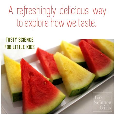 Taste Test Combos 的图像结果