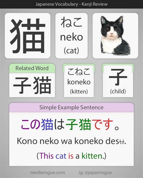 Cat In Japanese Word - Letter Words Unleashed